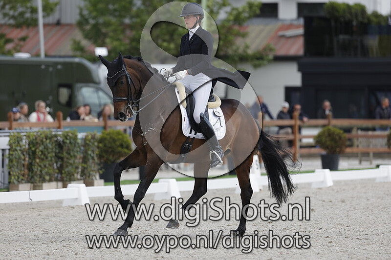 My Dream vh Aegroschot