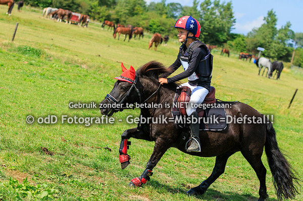 SGW Geestmerambacht Paard BB Pony B 11-08-24