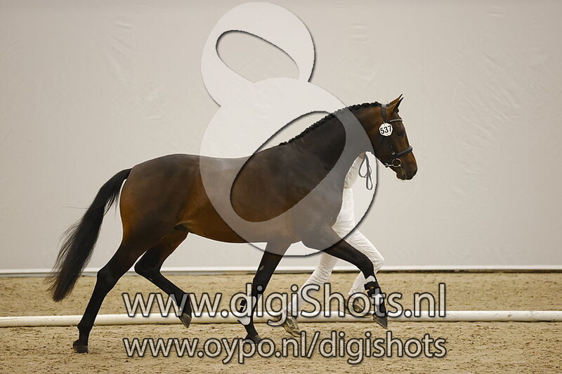 Nostradamus v. Painted Black