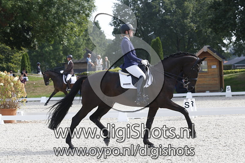 Infodatek's S-Klasse