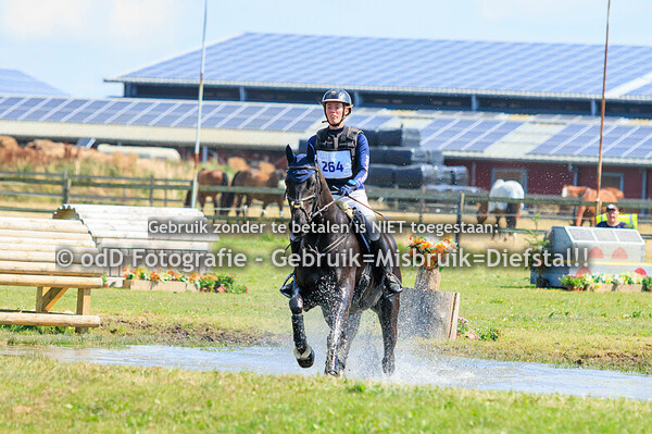 SGW Geestmerambacht Paard B 11-08-24