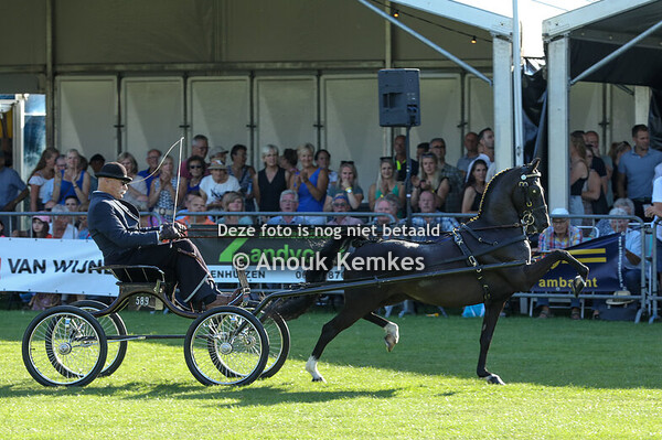 Hackney Nederlands Kampioenschap Ereklasse