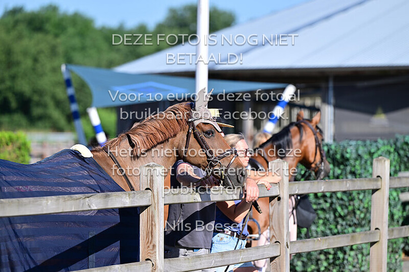 1 Pony's CDE - 70cm & 80cm rijstijl zonder barrage