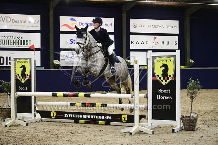 Lily Luyts - Carnabay Prince