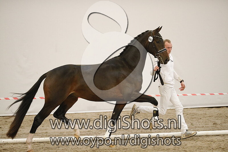 Mydono Paulowna v. Glocks Toto Jr