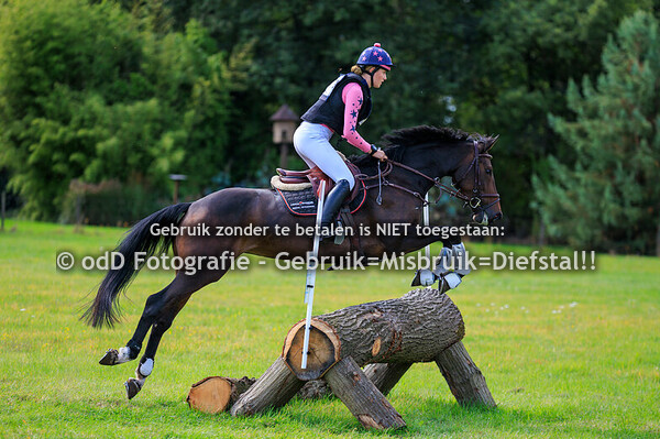 sgw bollert brons paarden l 14-09-25