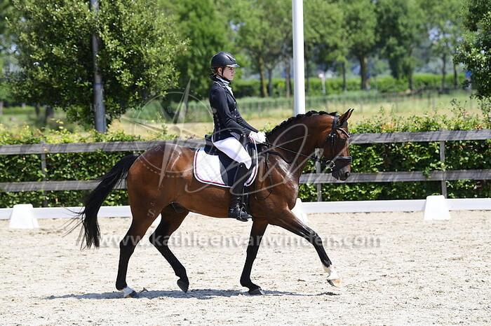 Anabel van Tilburg - El Nino