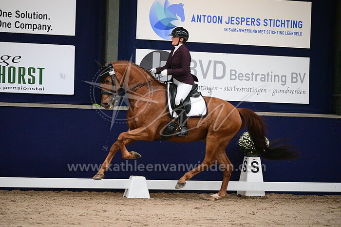 Nicole Reinders - Hilton