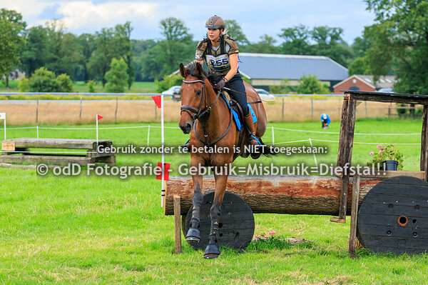 SGW Markelo Snorrewind Paarden M 30-06-24