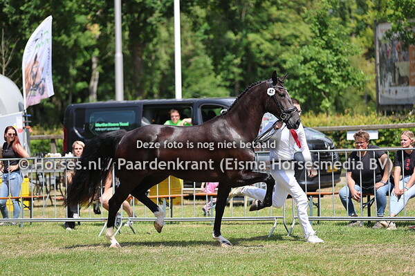 47 Stacey-Lynn van den Arendshoeve