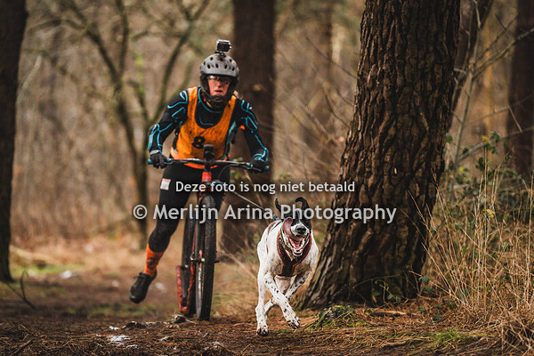 12-1-2025 NK Canicross Bosschenhoofd