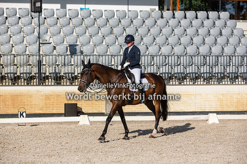 Anke van Dijk - Cheval