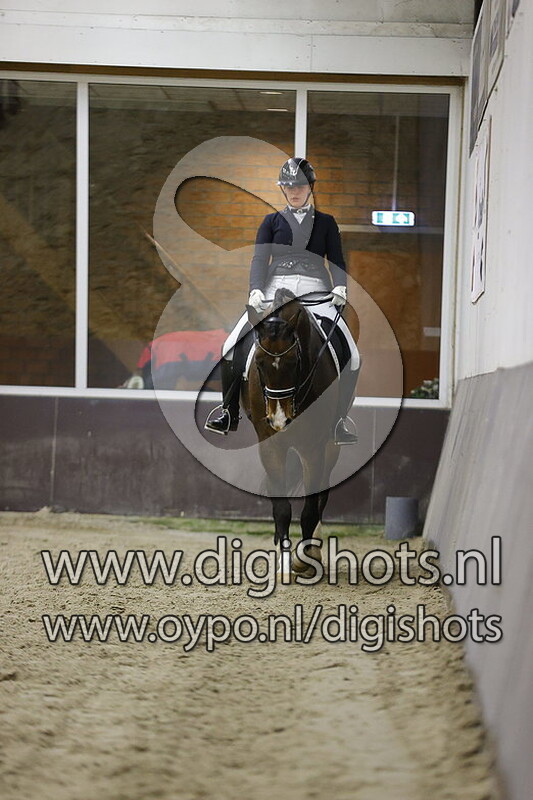 Dandelion's Hollands Talent