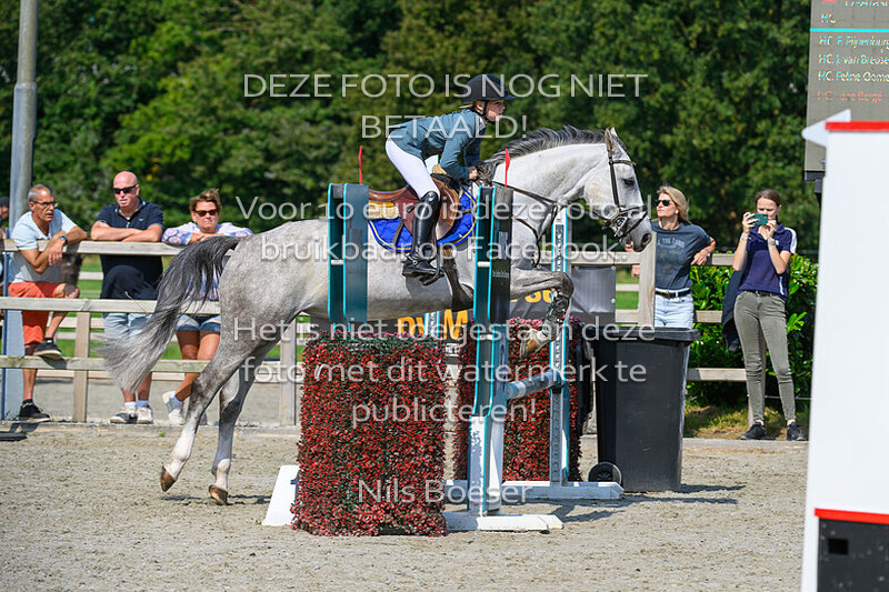 4 Paarden oefenspringen