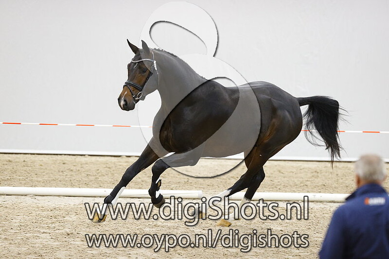 585 For Romance x Robespierrot