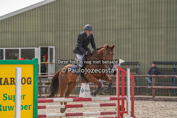 Paarden 80cm De Wieringermeerruiters 06-04-2024
