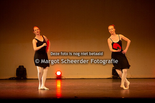 12 Klassiek ballet spitzen 17+