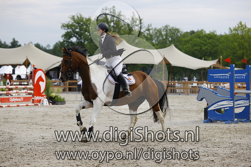 Springen 1.00m paarden