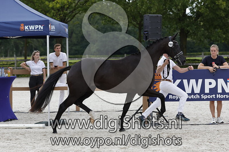 Prada Boa T v. Lennox US