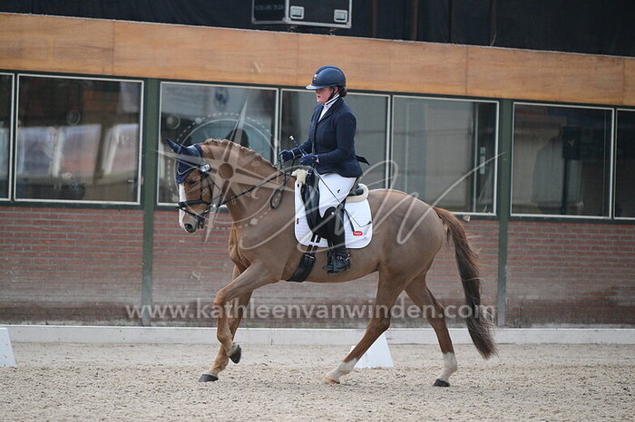 Julia Rebergen - Wilson