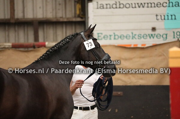 73 Hilmyra v Bretton Woods