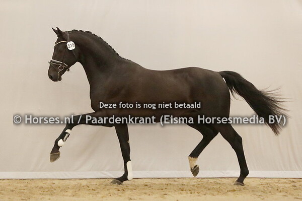 516 MSJ Soundtrack (My Fair Lady v. Millenium)