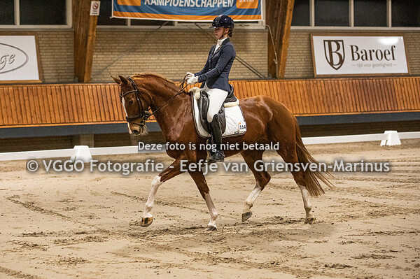 BK Deurne Paarden 11 t/m 13 februari 2022