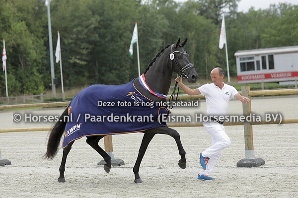 19-07-23 CK Drenthe dressuur