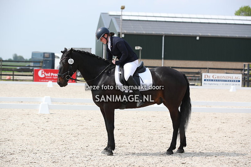 Reigersburgh 10-05-2024 Dressuur Ring 2 B