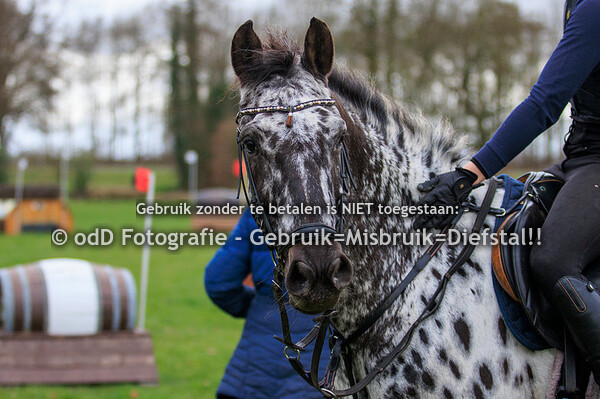 Crosstraining Margo van Nijnatten Tilburg Groep 4 11:30 04-03-23
