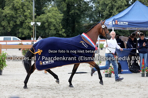 13-07-2024 CK Brabant springen, oudere dressuur en Brabantcup