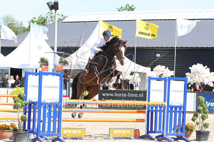 Demi van Nikkelen Kuijper - Northstar