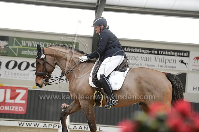 Ilse van Soest - Elvis!