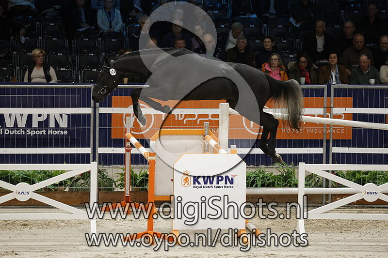 Rumba Vd Radstake v. Mumbai Van De Moerhoeve - 124