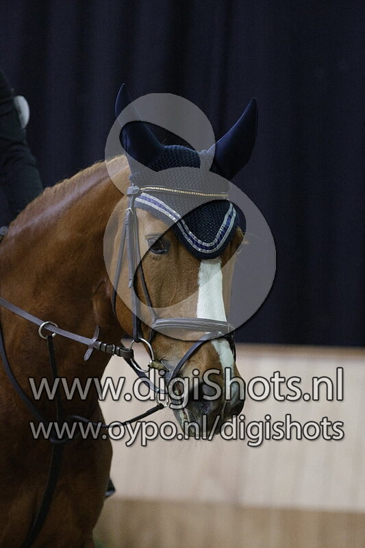 Sam Klein Kranenbarg