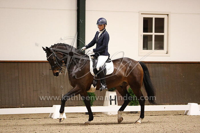 Patrice Vercammen - Sergeant van 't Swillenhof