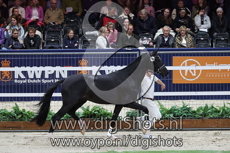 Special Me HH v. For Ferrero