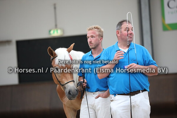 47 Sarina (Sevruga x Schysella v. Straden)