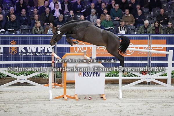 852 Unions Way (United Way x Imagine CM v. Casall)