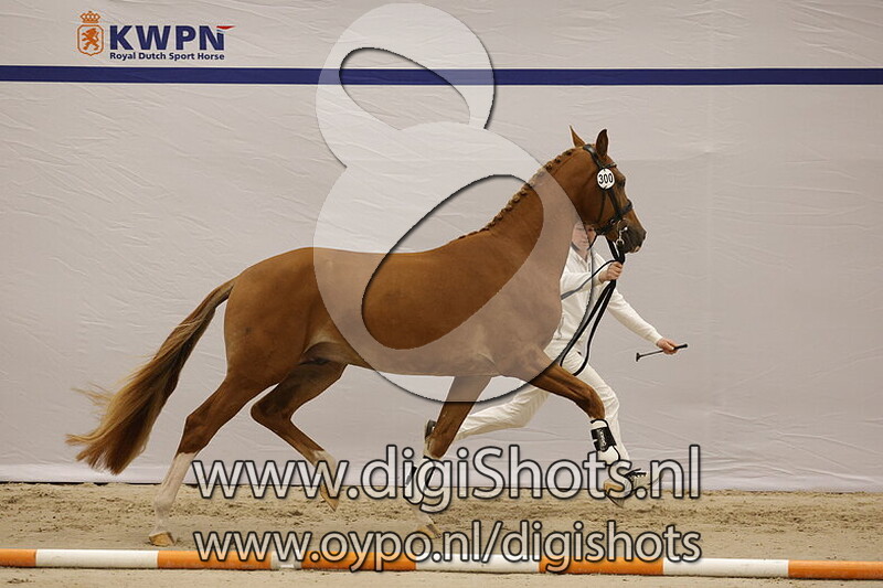 Soeverein v. Bellany