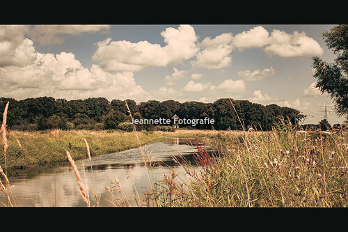 Staring Koepel / Berkel