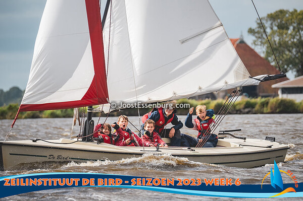 De Bird - Week 6, 2023