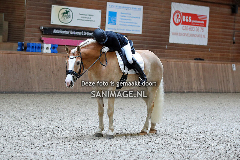 Haflinger Ver.DAH West Dressuur 16-04-2023 12.00-13.30 uur