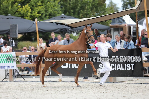 135 Once for All Swing