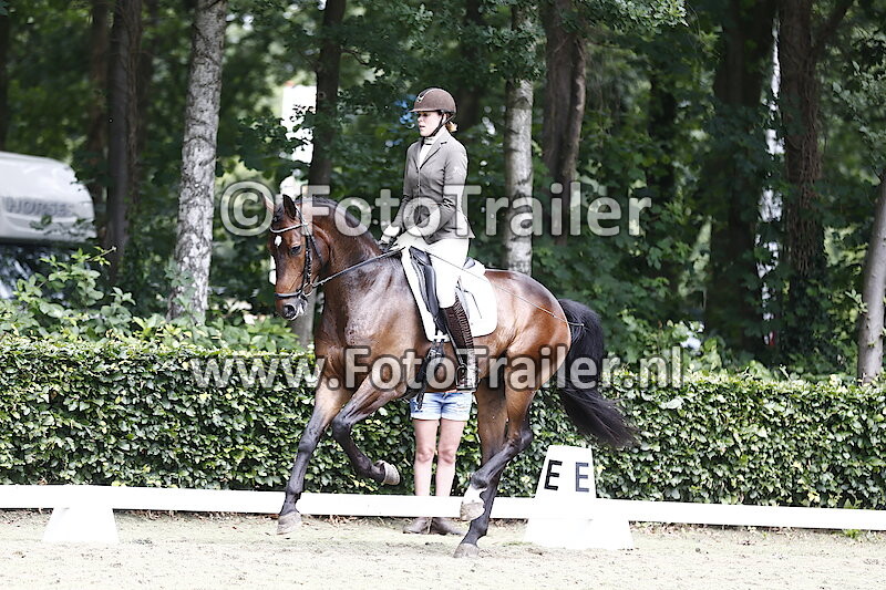 NN Dekje PK International