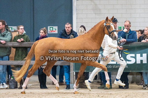 2e Bezichtiging WPBR