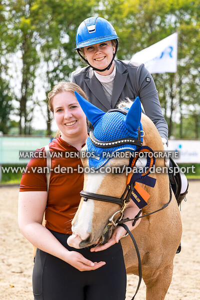 20240510-paard-80cm-prijs