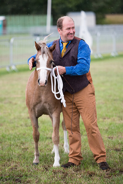 Nationale Show Welsh Belgium