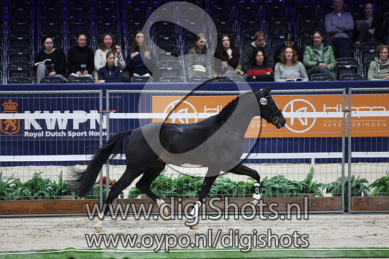 Sunshine T.P. v. Fontaine TN