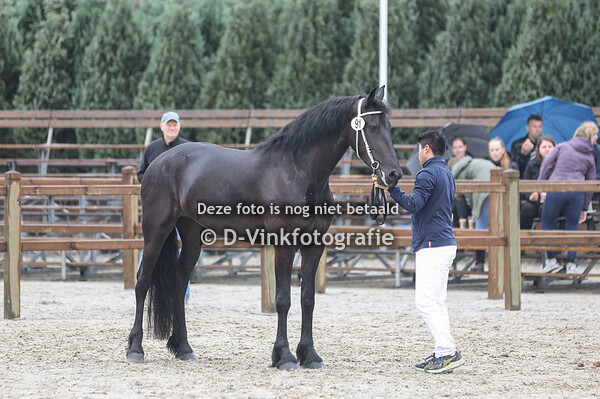 91. Namasté van Zomerstaete